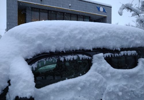 雪が降りました