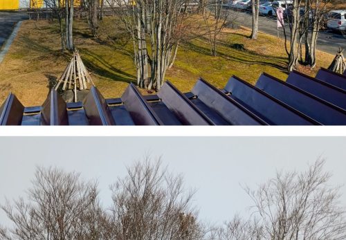 ありがとうございました。